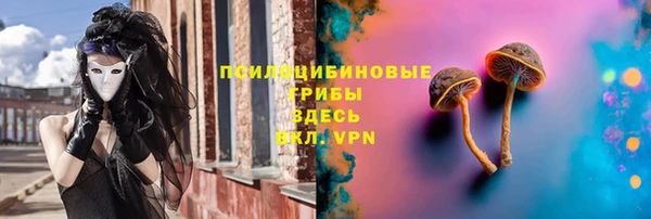 МДПВ Абинск