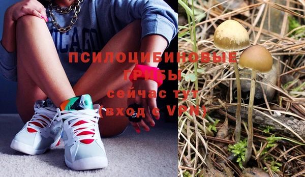 прущая мука Абаза