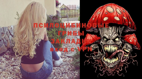 прущая мука Абаза